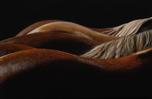 Print: "Silence in the Light"